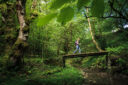 Une randonneuse sur un pont dans la foret