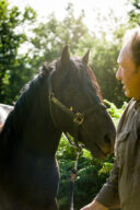 Un homme appelle ses pottoks