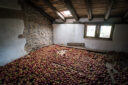 Pommes dans grenier maison basque