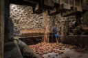 Un homme dans un pressoir basque